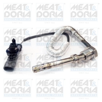 Sensor, exhaust gas temperature